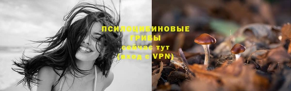 ГАЛЛЮЦИНОГЕННЫЕ ГРИБЫ Балахна